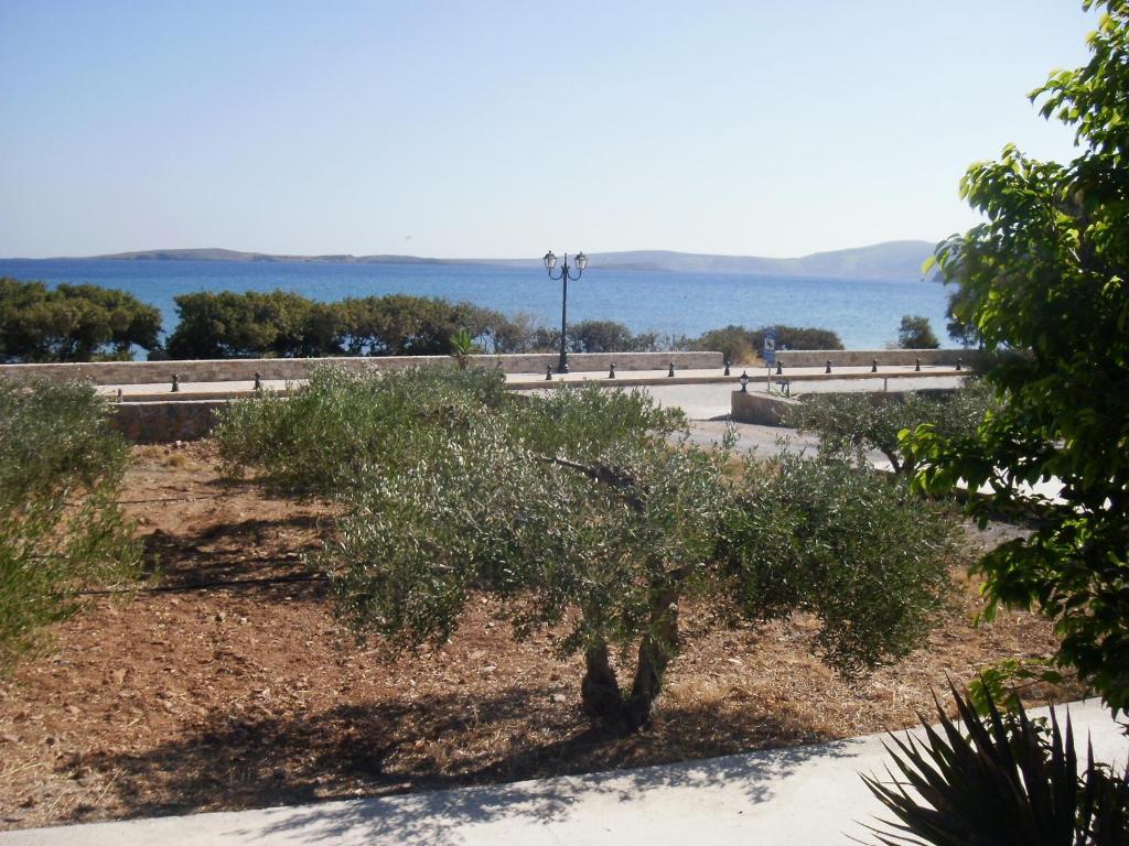 Kouremenos Beach Apartments Palekastro Exterior photo