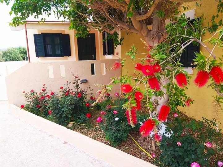 Kouremenos Beach Apartments Palekastro Exterior photo